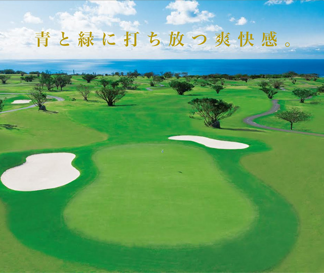 青と緑に打ち放つ爽快感。